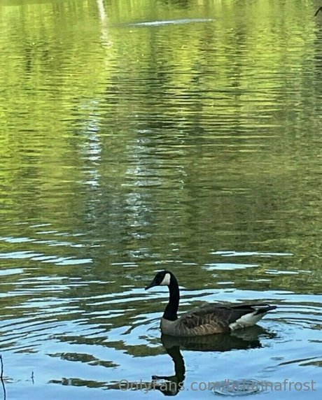 briannafrost star top pic