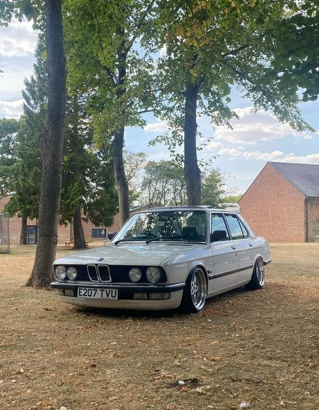 charlottiefree Profile pic