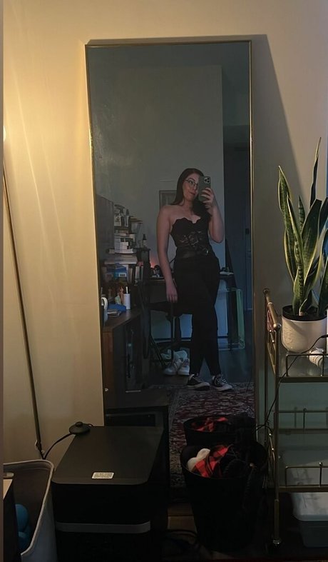 Swell Entertainment Profile pic