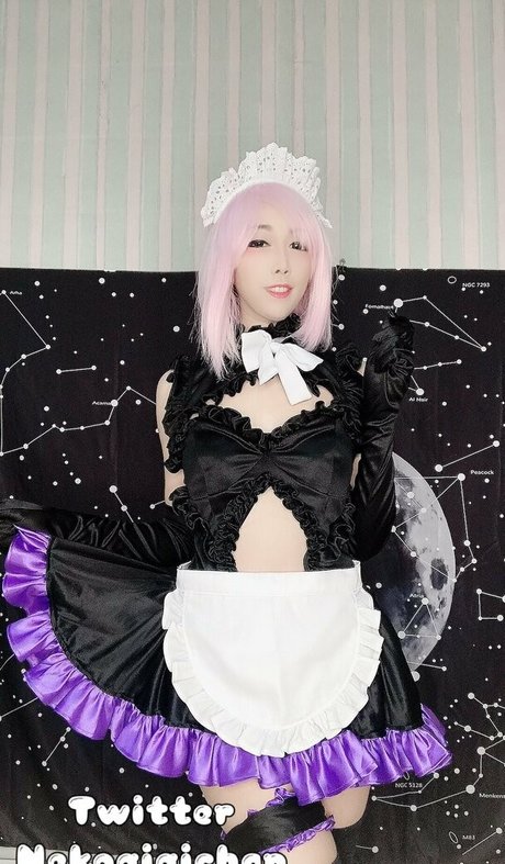 nekogigichan high quality star images