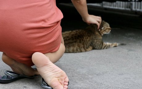 eurasian feet pornstar hd images