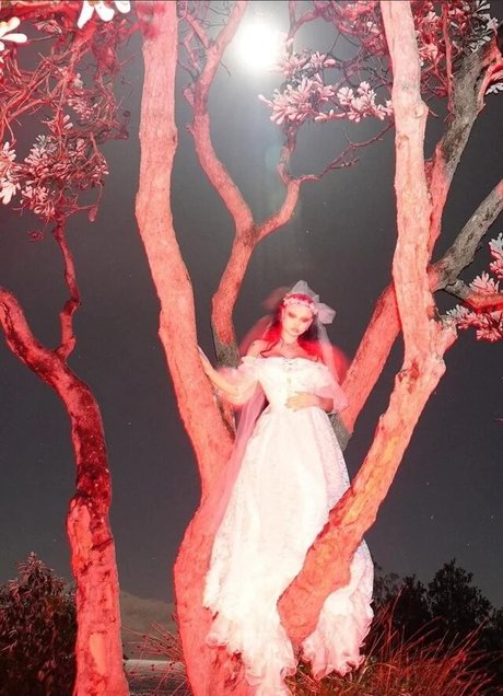 Zheani Sparkes star xxx galleries