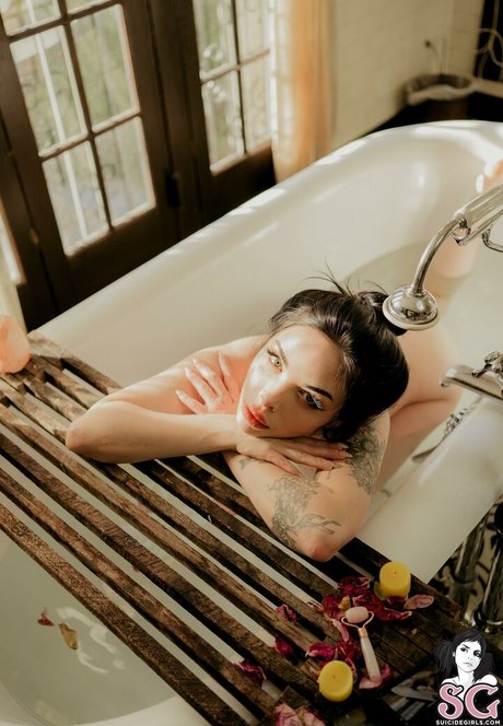 Blizzard sexy star pic