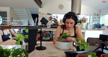 yabbe erotic pornstar photos