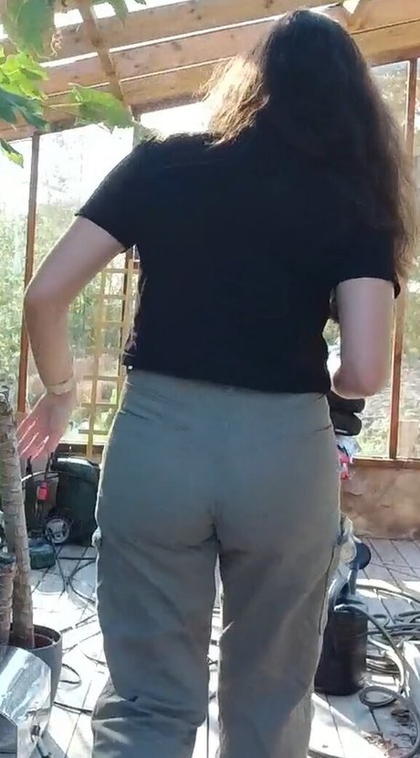 yabbe star porn archive