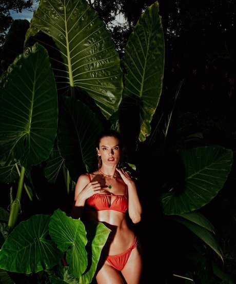 Alessandra Ambrosio model adult photo