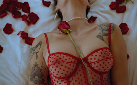 Miss lady bug pornstar adult img