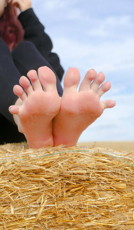 money onlyfans adult picture