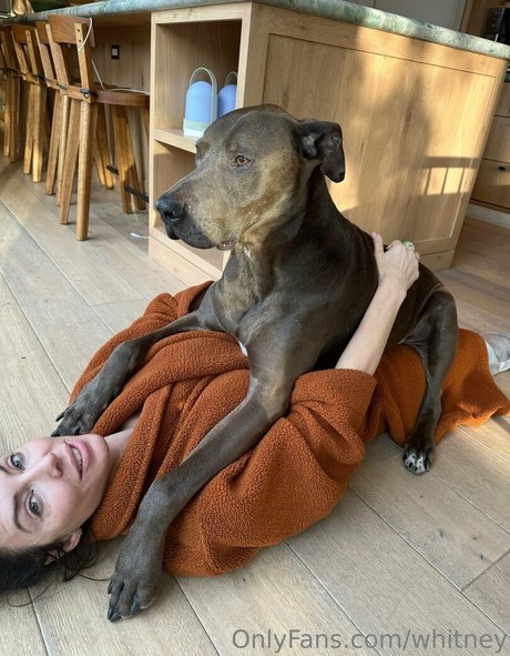 huge anal dildo onlyfans sexy nude archive