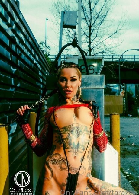 Tarazep model top picture