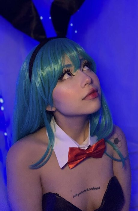 Daisyrot star nice images