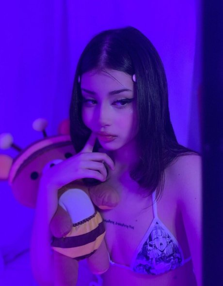 Daisyrot star high quality picture