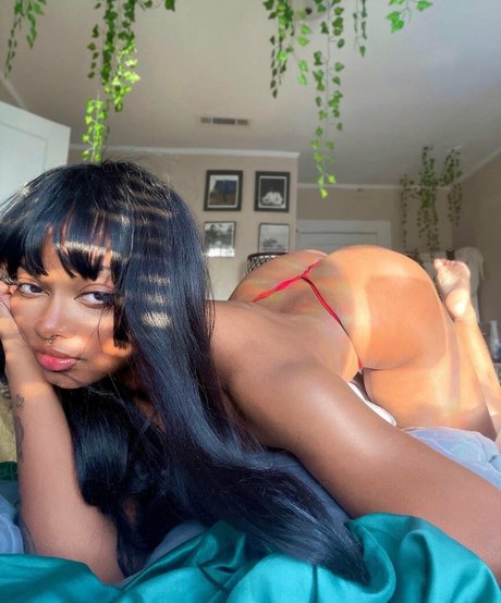 Dollyrama sex star picture