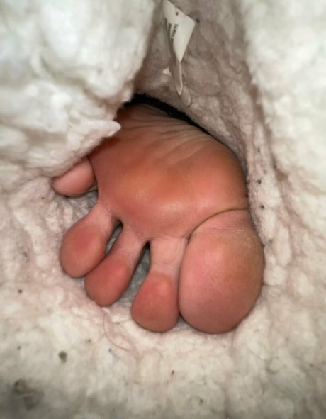 shemale dominatrix onlyfans erotic pics