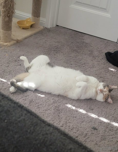 beautiful feet onlyfans pretty img