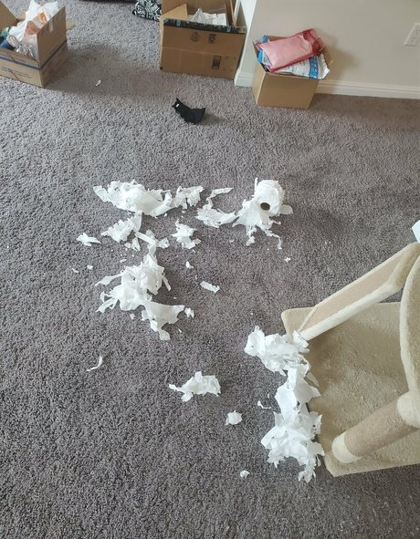 yureta2 pornstar galleries