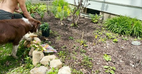 The Naked Gardener pornstar xxx pictures