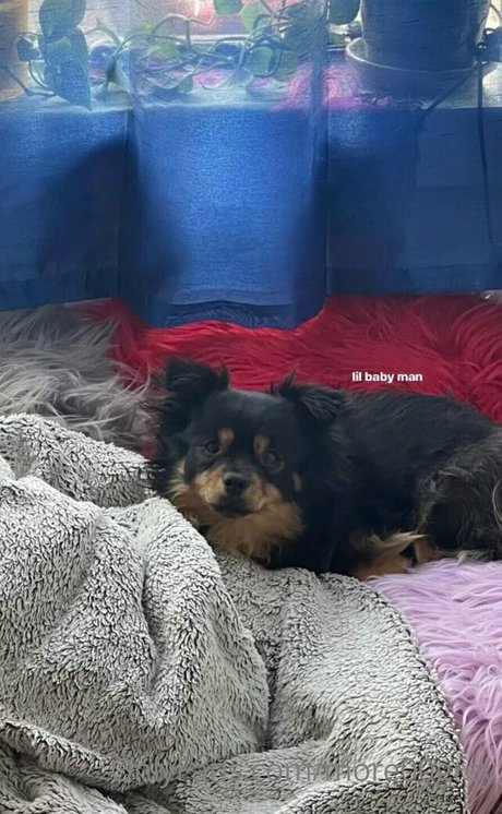 more00grey model beautiful pictures