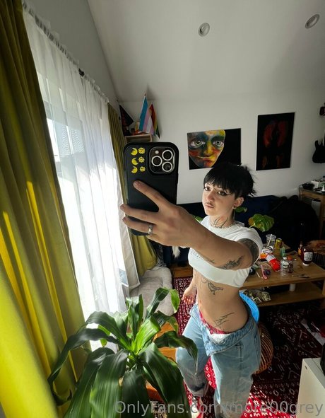 more00grey free pornstar archive