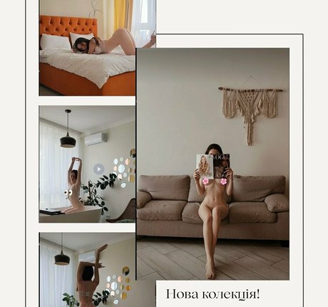 lilylong high quality star galleries