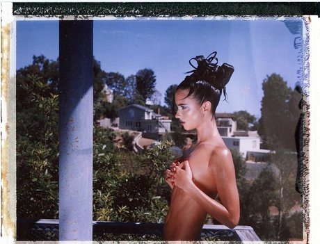 Herbert Twins star nude img