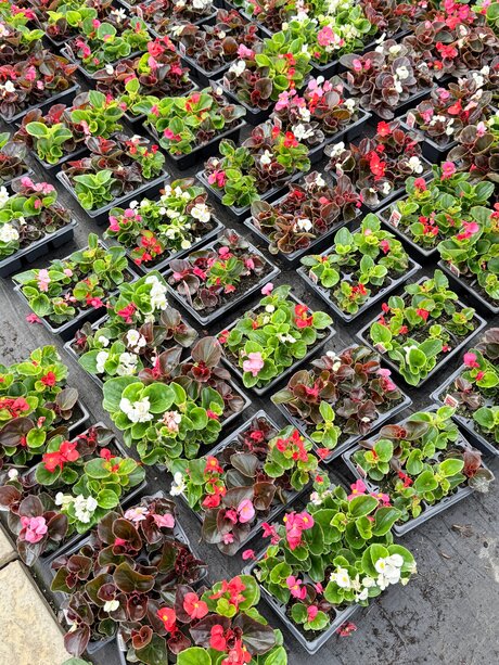 asian gym onlyfans perfect image