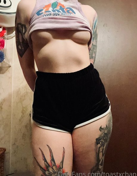 toastxchan pornstar adult img