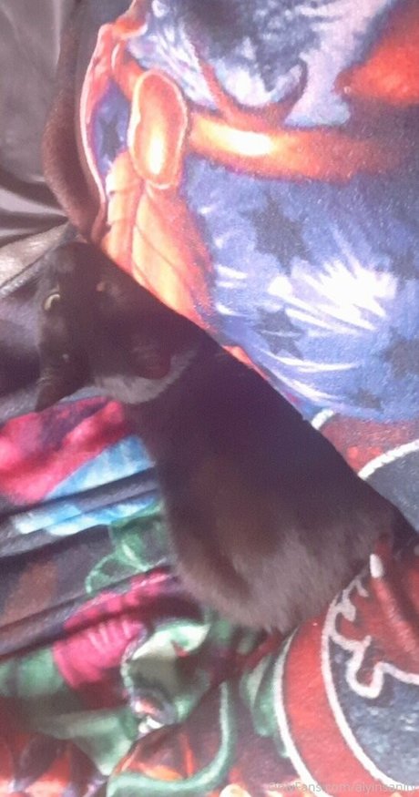 amy lovotomy porn actress pictures