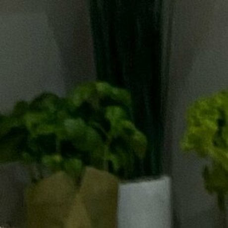 onlyfans creampie xxx pic