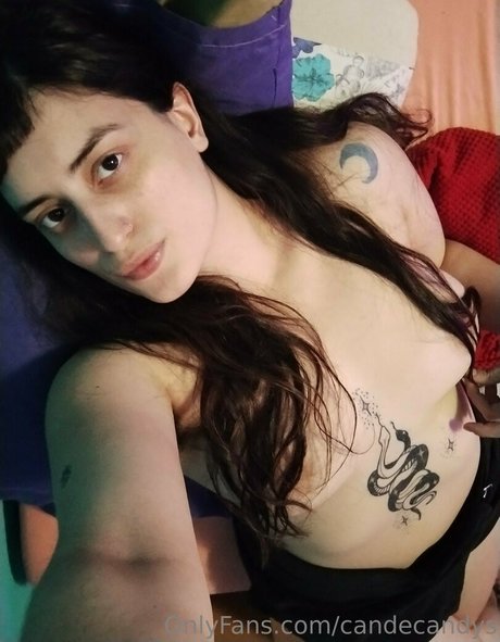 candecandys model nice img