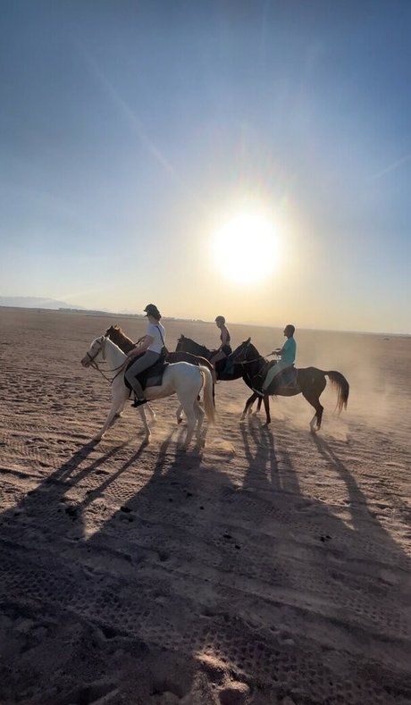 ichbinanny pornographic actress img