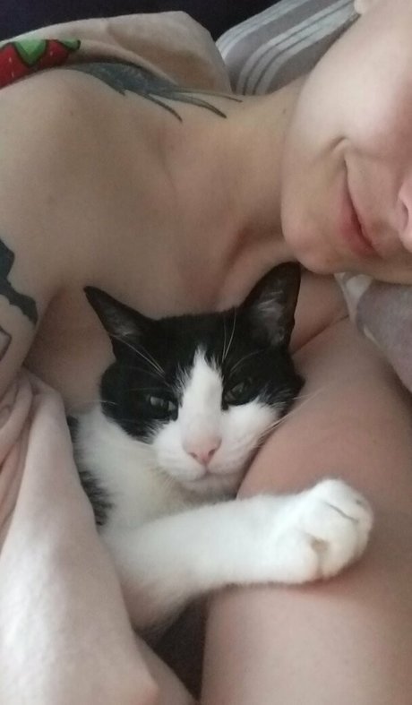 andromedanekoclub free actress archive