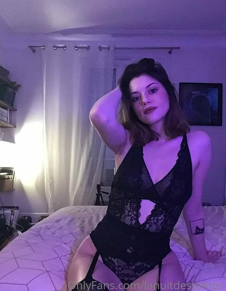 lanuitdestemps nice model img