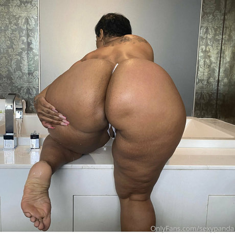 sexypanda pornstar pictures