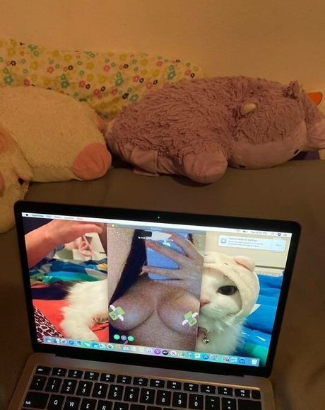 Fattestcat sexy actress images