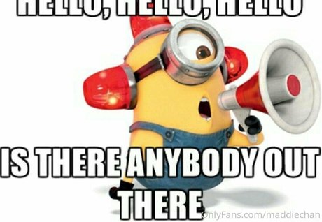 Maddiechan Profile pic