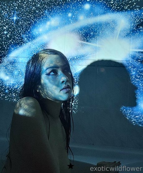 Exoticwildflower high quality star gallery