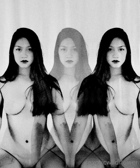 Exoticwildflower xxx model pictures