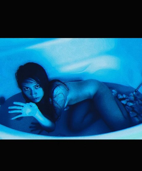 Exoticwildflower star beautiful pics