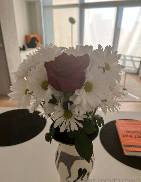 ThiccyVal pornstar free galleries