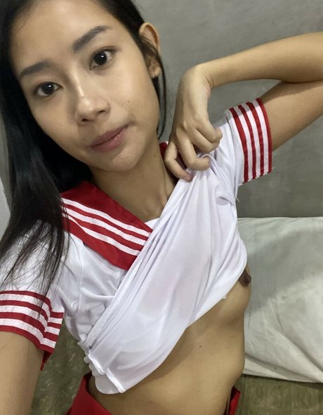 littlepan model gallery