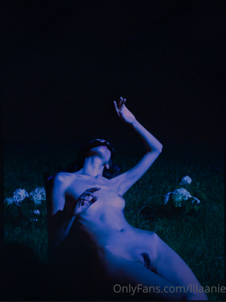 lilaanie Profile pic