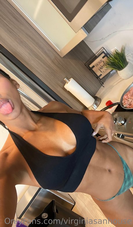 Virginia Sanhouse naked pornstar galleries