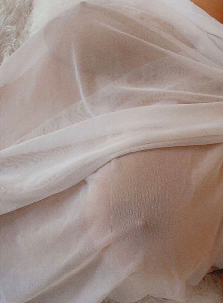 Changoodie erotic pornstar galleries