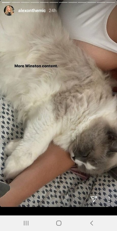 Alex Gervasi sexy pornstar archive