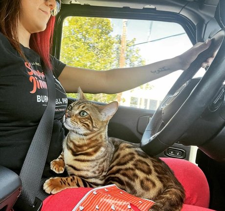 brother onlyfans art xxx photo