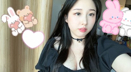 Starsmitten best model gallery