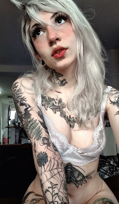 Aline Fox star porn image