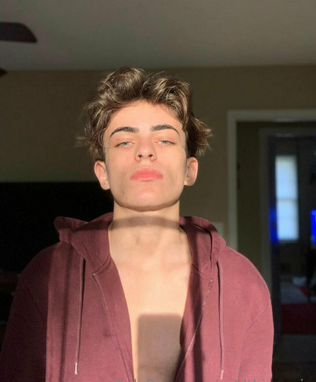 wildthingsvip porn actress archive