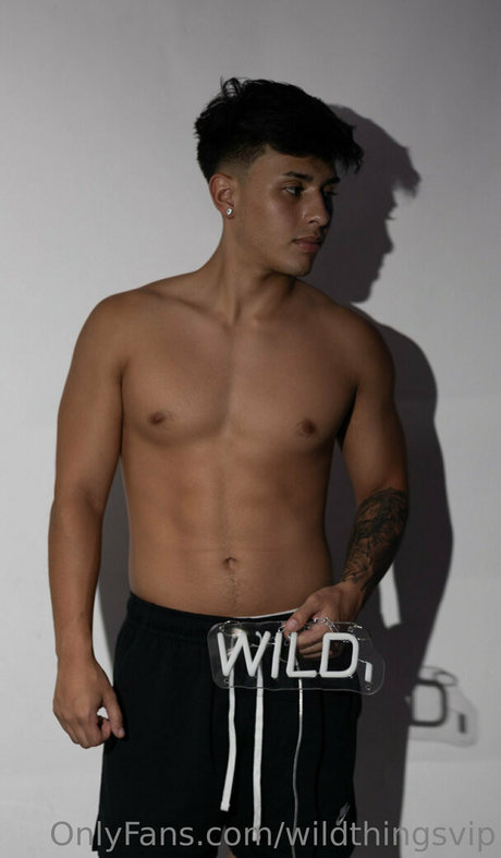 wildthingsvip sex pornstar pictures